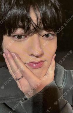 PLEASURE the SameE HARUTO photocard image