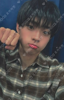 FLEX LINE fromm store