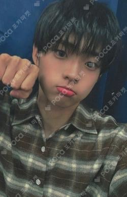 FLEX LINE fromm store SHINYECHAN photocard image
