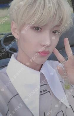 Clé 2 : Yellow Wood FELIX photocard image