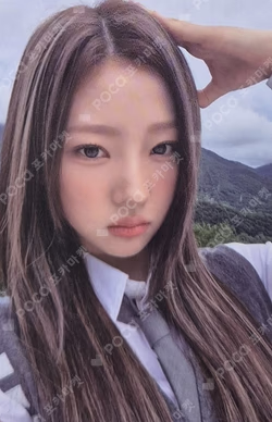 FOCUS Stella photocard image