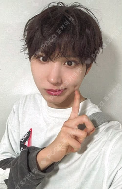 My First Flip SOUND WAVE