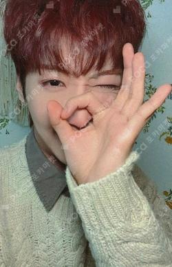 SECRET SANTA EVERLINE DONGMYEONG photocard image