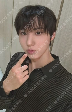 My First Flip SOUND WAVE