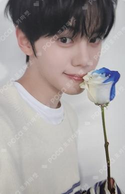 ZEROBASEONE 3rd Global Official [ZEROBASEONE Photo Pack] KIM GYUVIN photocard image