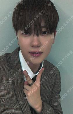 [N] fromm store YECHAN photocard image