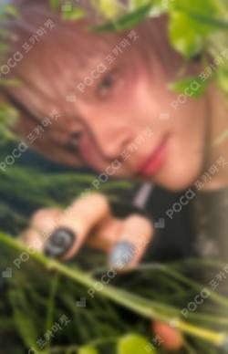 Back to Life OLIVE YOUNG NICHOLAS photocard image