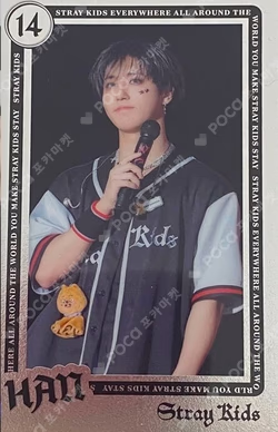 Stray Kids World Tour dominATE JAPAN RANDOM LIVE PHOTO CARD