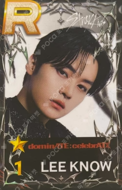 Stray Kids World Tour dominATE : celebrATE SuperStarJYPNATION LEE KNOW photocard image