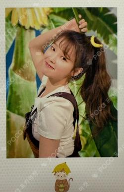 Banana Allergy Monkey Polaroid SEUNGHEE photocard image