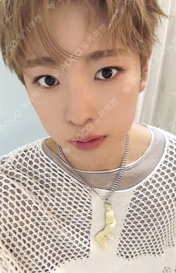 NCT WISH 1st CONCERT TOUR ‘INTO THE WISH : Our WISH’ RANDOM TRADING CARD SET