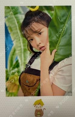 Banana Allergy Monkey Polaroid SEUNGHEE photocard image