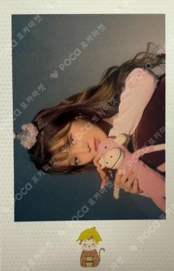 Banana Allergy Monkey Polaroid SEUNGHEE photocard image