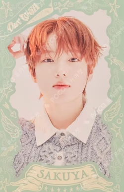 NCT WISH 1st CONCERT TOUR ‘INTO THE WISH : Our WISH’ RANDOM TRADING CARD SET