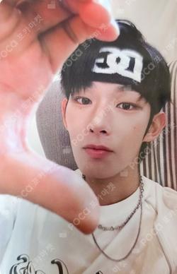 FI STEVEN photocard image