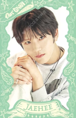 NCT WISH 1st CONCERT TOUR ‘INTO THE WISH : Our WISH’ RANDOM TRADING CARD SET JAEHEE photocard image