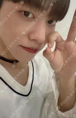 SUMMER POPUP ALBUM [POPPING] EVERLINE U photocard image