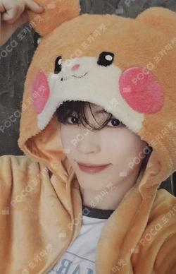 zeroni FLUFFY Wonderland PHOTO HOLDER POUCH SUNG HANBIN photocard image