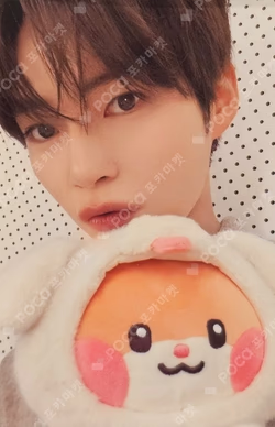 zeroni FLUFFY Wonderland REWARD SUNG HANBIN photocard image