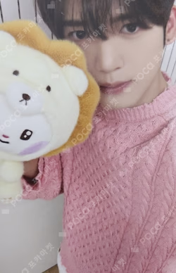 zeroni FLUFFY Wonderland REWARD