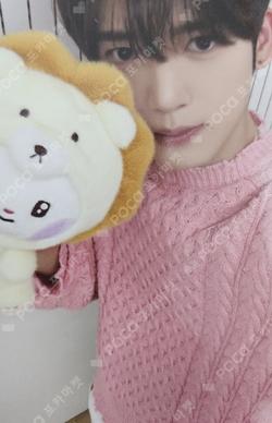 zeroni FLUFFY Wonderland REWARD HAN YUJIN photocard image