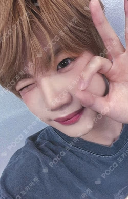 Snowy Summer BEATROAD