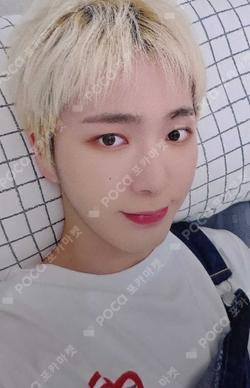 樂서(Story Written in Music) DEAR MY MUSE KEVIN photocard image