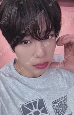 COLOR DEAR MY MUSE SION photocard image