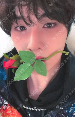 THUNDER FEVER MYMUSICTASTE