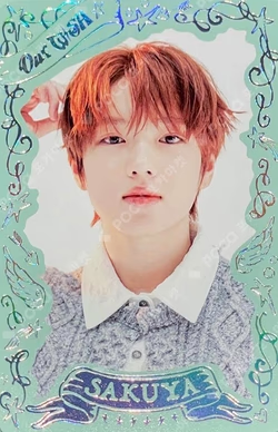 NCT WISH 1st CONCERT TOUR ‘INTO THE WISH : Our WISH’ RANDOM TRADING CARD SET SPECIAL