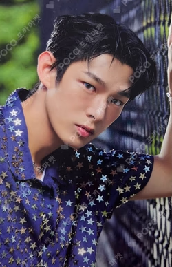 WHO WE ARE POP-UP STORE TRADING CARD