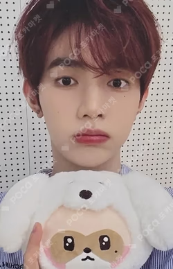 zeroni FLUFFY Wonderland REWARD