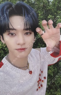 MAXIDENT YES24 LEE KNOW photocard image