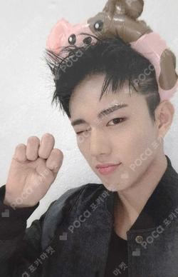 HARMONY : SET IN EVERLINE INTAK photocard image