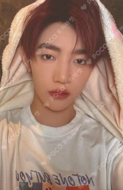 zeroni FLUFFY Wonderland PHOTO HOLDER POUCH ZHANG HAO photocard image