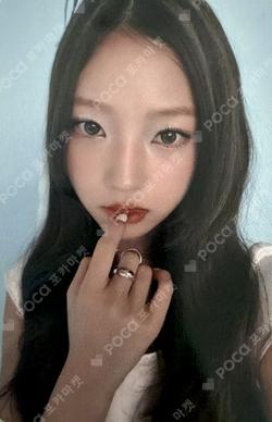 FOCUS EVERLINE Stella photocard image