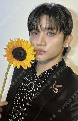 Sunflower CHOWONSANG photocard image