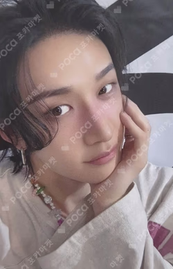 Stray Kids World Tour dominATE : celebrATE REWARD BANG CHAN photocard image