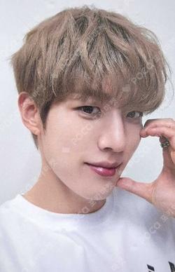 LIKE INFINITE EVERLINE LeeSungYeol photocard image