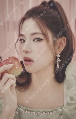 2025 izna 1st FAN-CON [Not Just Pretty] RANDOM TRADING PHOTO CARD