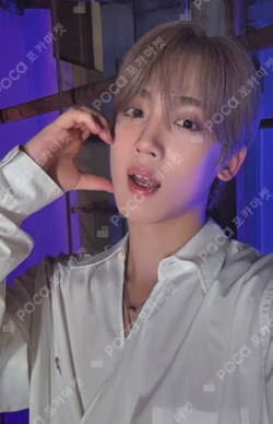 Wonderland Haven Ver.