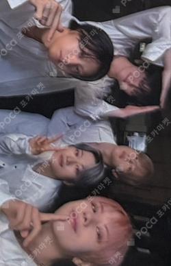 Wonderland Haven Ver.