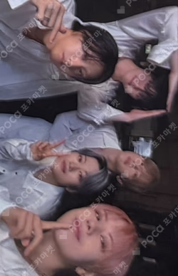 Wonderland Haven Ver. Unit photocard image