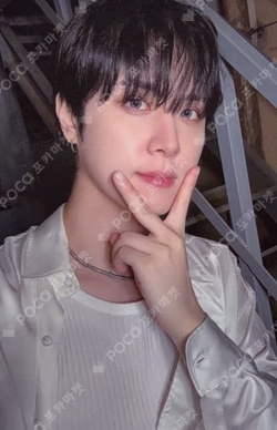 Wonderland Haven Ver.