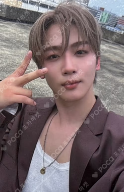 Wonderland Wonder Ver.