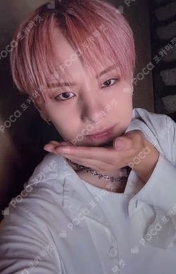 Wonderland Haven Ver.