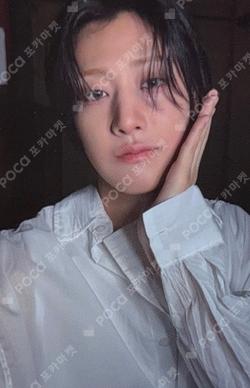 Wonderland Haven Ver.