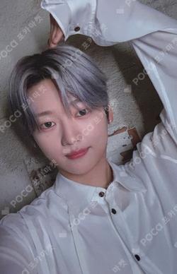 Wonderland Haven Ver.