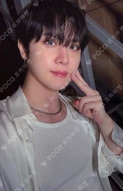 Wonderland Haven Ver.