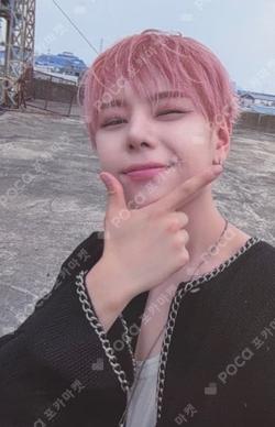 Wonderland Wonder Ver.